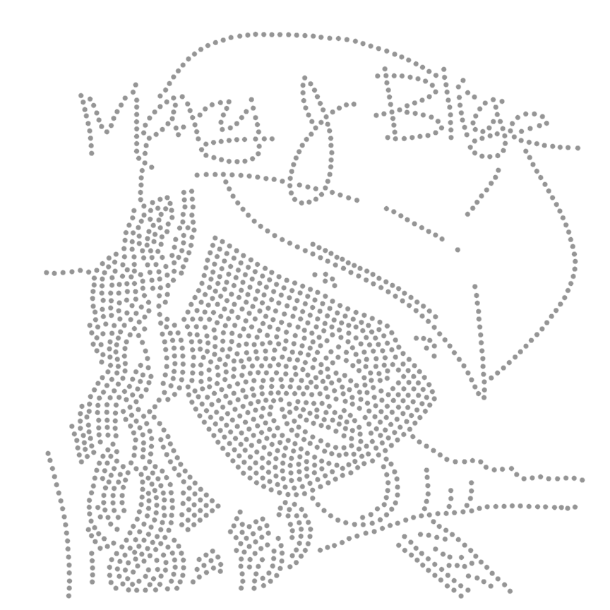 Mary J 411