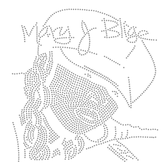 Mary J 411