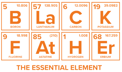 Black Father The Essential Element