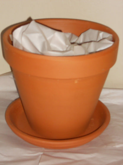 Customized Flower Pots