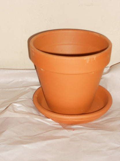 Customized Flower Pots