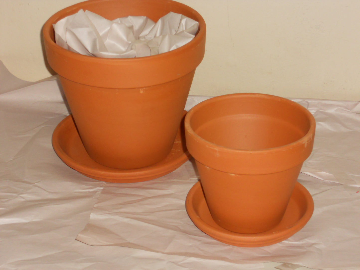 Customized Flower Pots